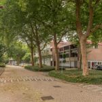 Lijsterbesstraat 234 – Foto 6